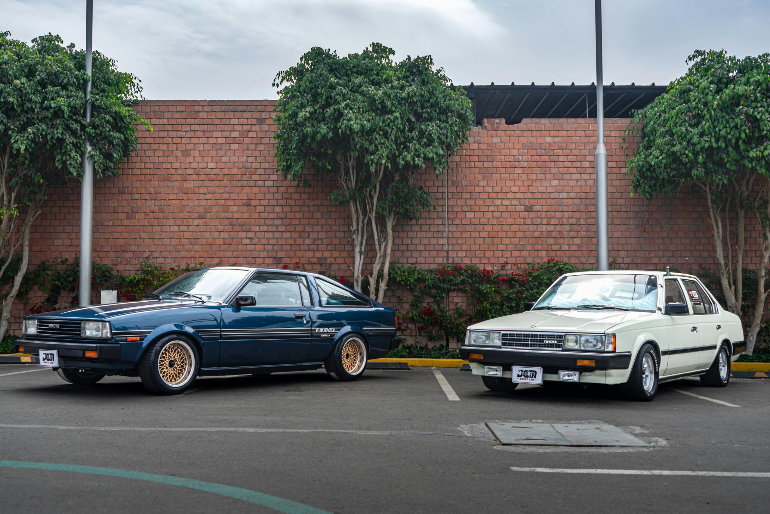 Vintage Toyota AE86 and Corolla in a city parking lot with lush greenery.